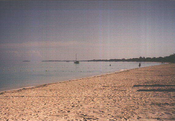 The Beach at Negril